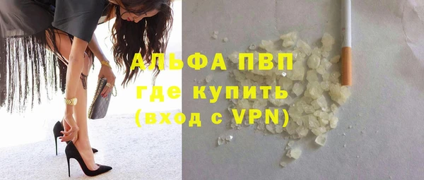 индика Алексин