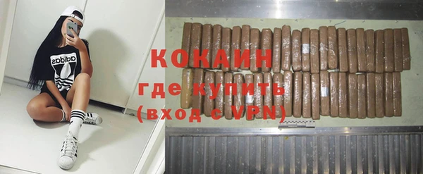 индика Алексин