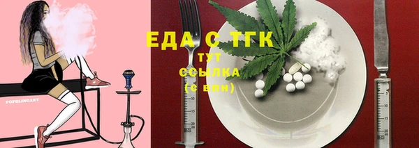 индика Алексин
