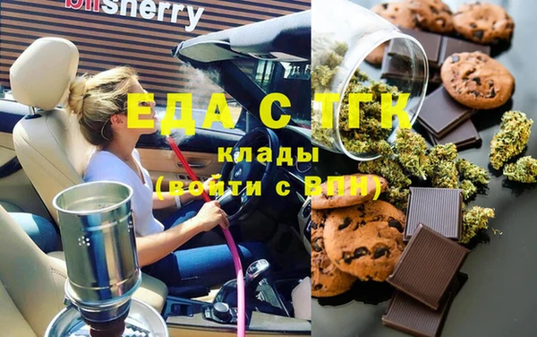 индика Алексин