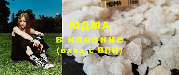 индика Алексин