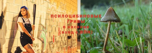 прущая мука Алзамай