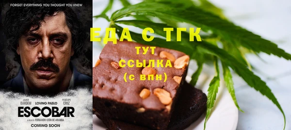 индика Алексин