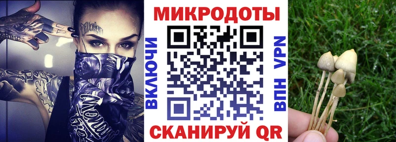 Галлюциногенные грибы Magic Shrooms  blacksprut зеркало  Енисейск 